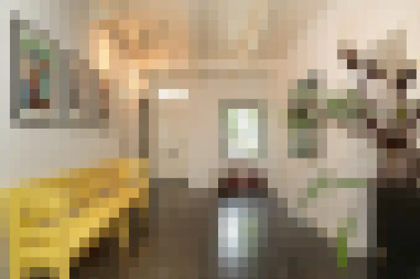 Langstraat 15 Uitwijk thumbnail 28