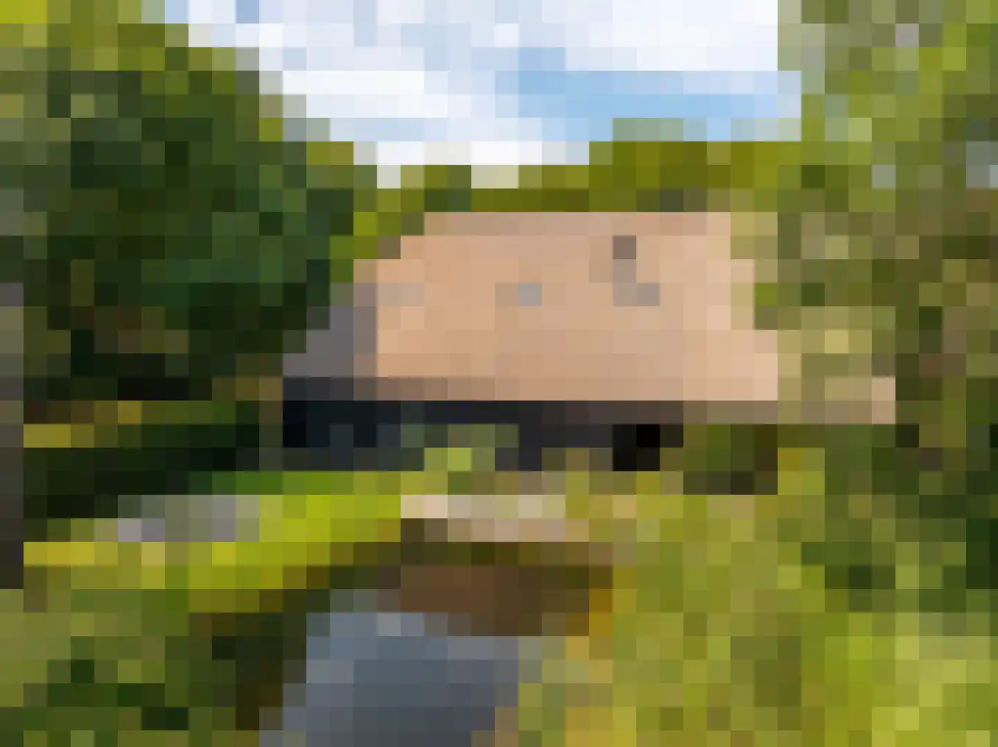 Langstraat 15 Uitwijk thumbnail 5