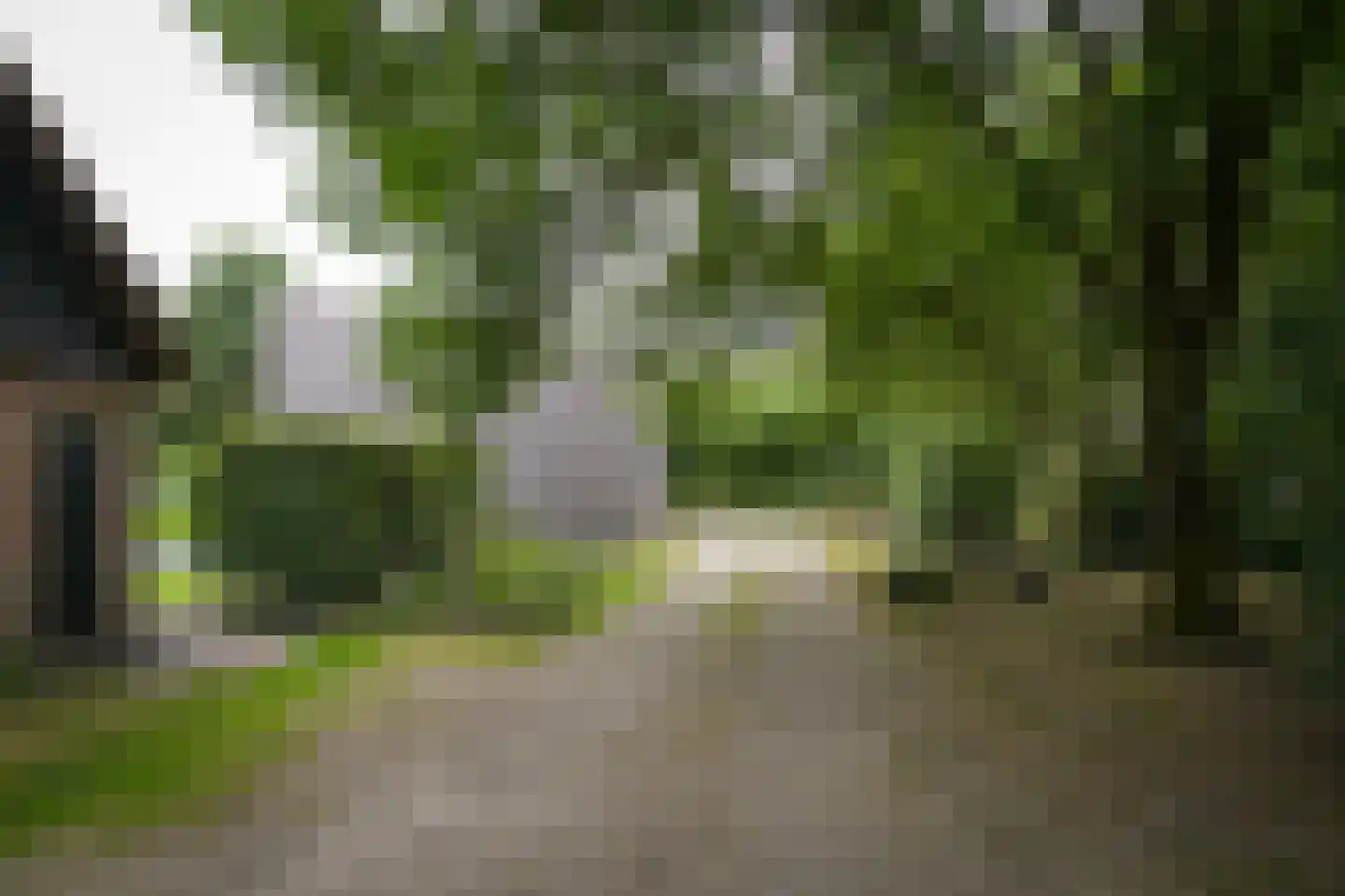 Langstraat 15 Uitwijk thumbnail 71