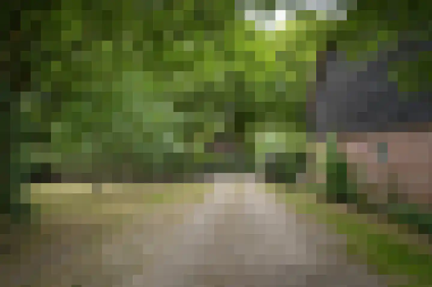 Langstraat 15 Uitwijk thumbnail 72