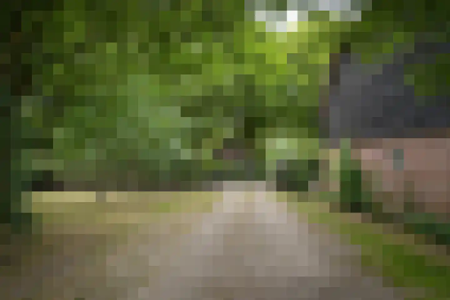 Langstraat 15 Uitwijk thumbnail 72