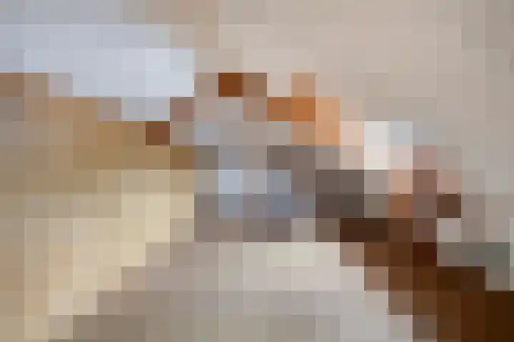 Langstraat 152 Venray thumbnail 22