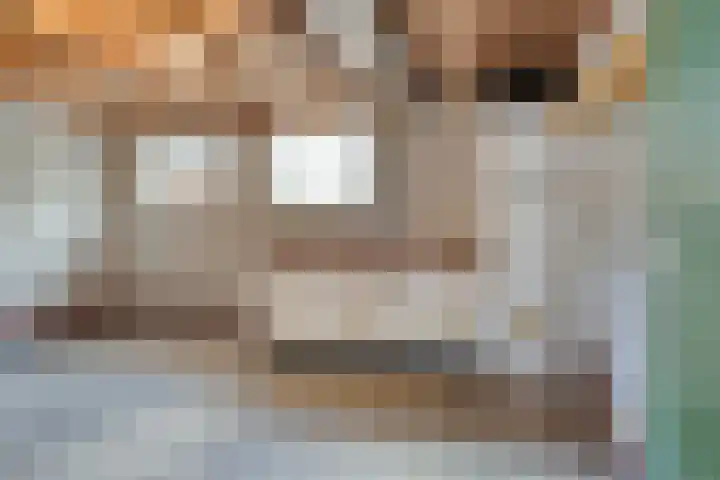 Langstraat 152 Venray thumbnail 26