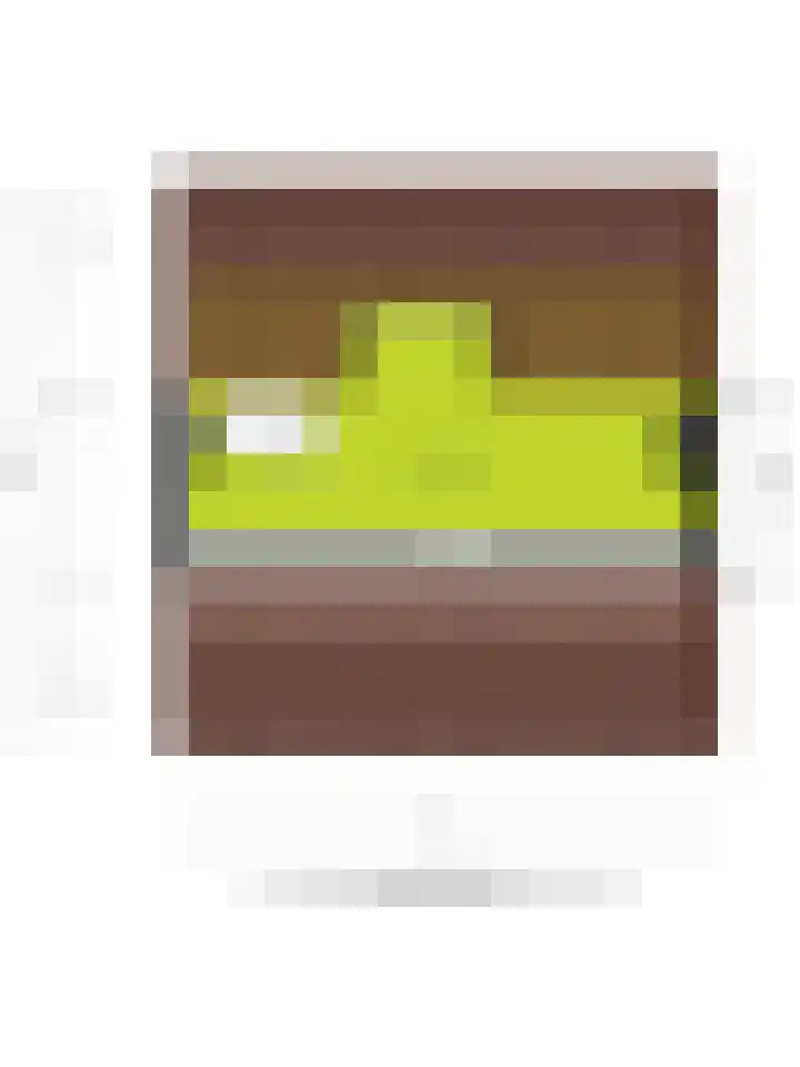 Langstraat 152 Venray thumbnail 43