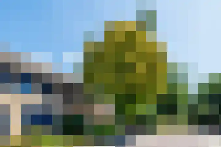 Langstraat 16 Milsbeek thumbnail 47