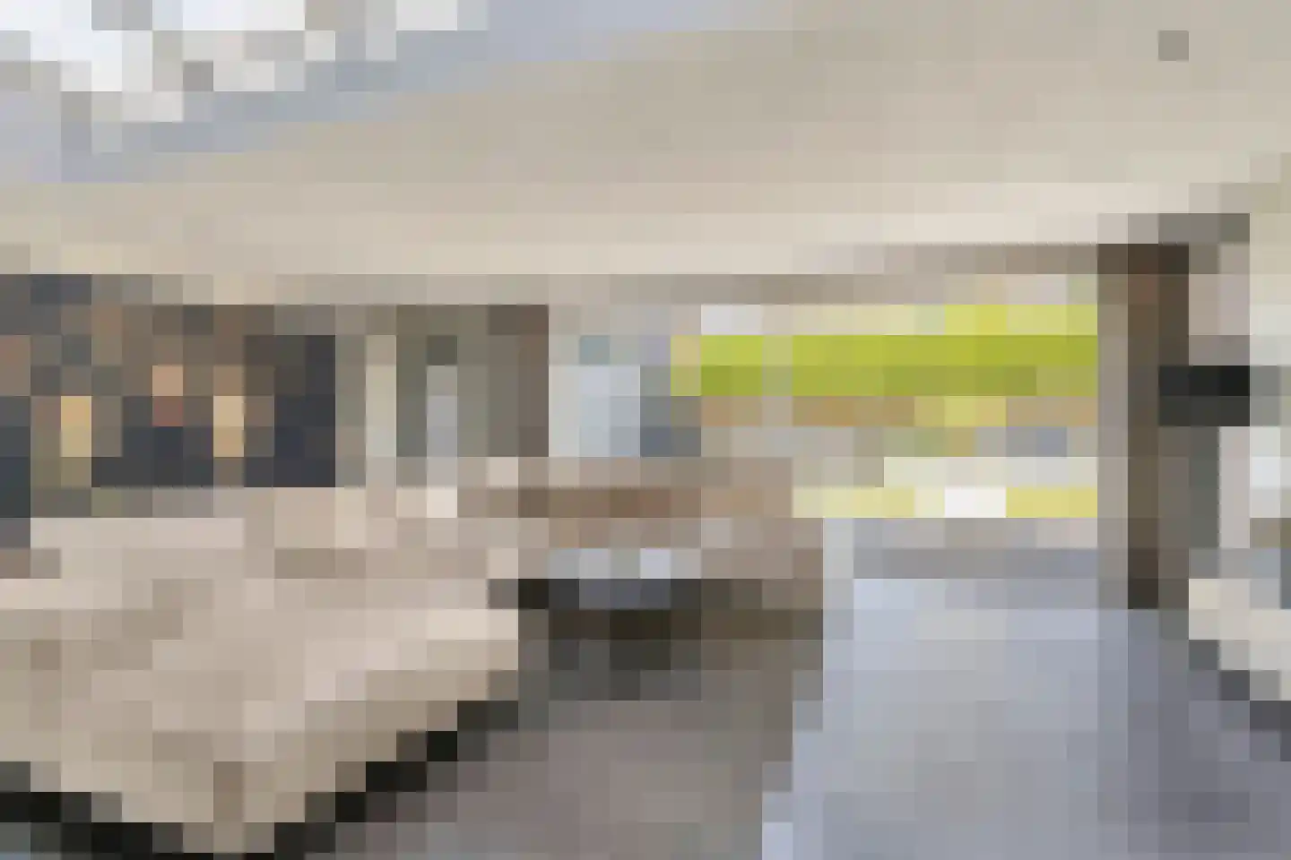 Langstraat 160 Venray thumbnail 12