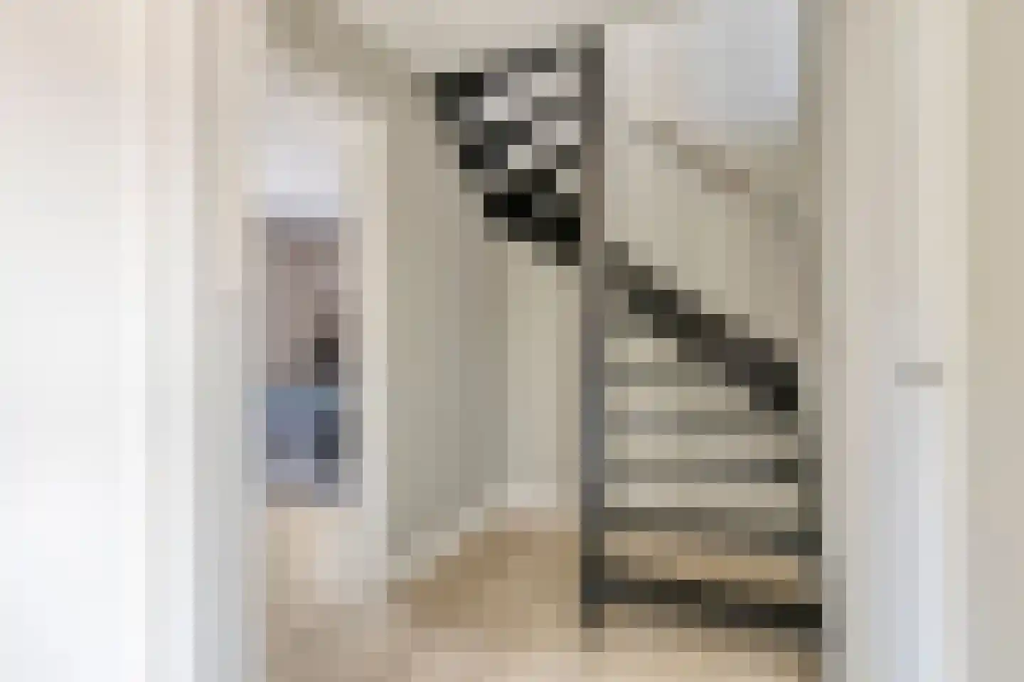 Langstraat 160 Venray thumbnail 27
