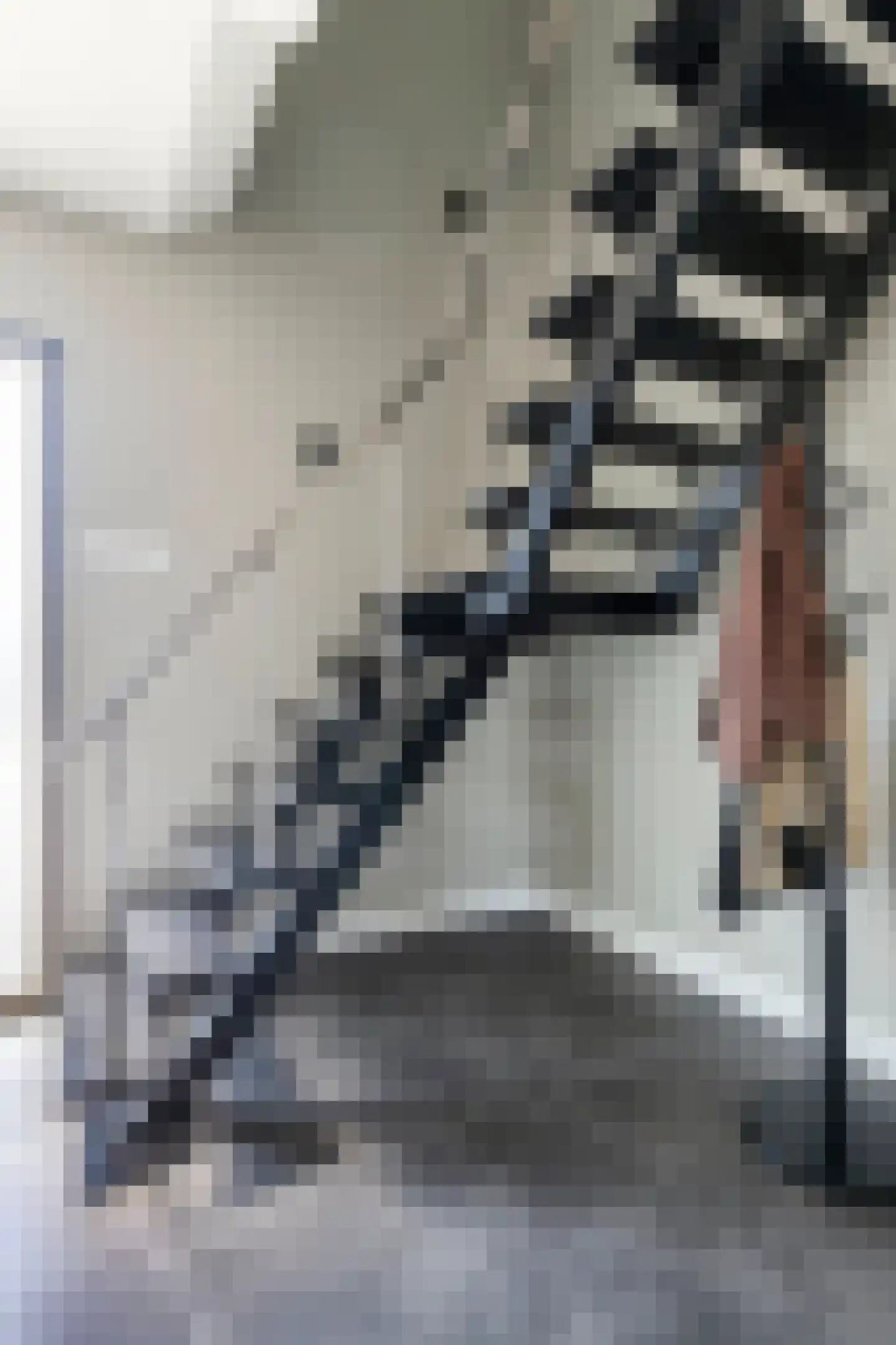 Langstraat 160 Venray thumbnail 6