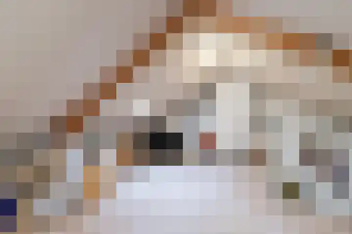 Langstraat 162 Venray thumbnail 36