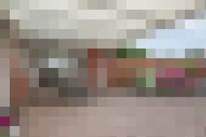 Langstraat 166 Venray thumbnail 38