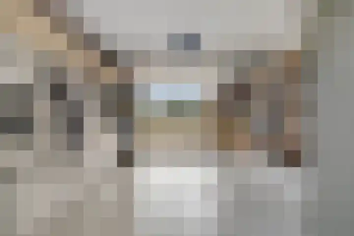 Langstraat 166 Venray thumbnail 43