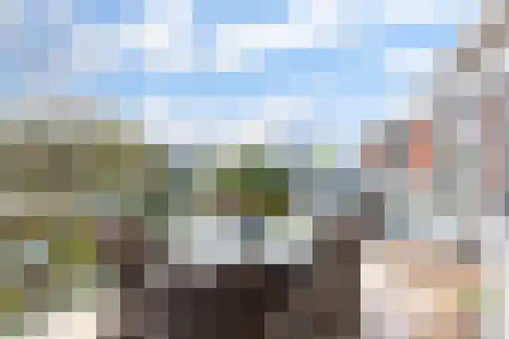 Langstraat 17 e Asten thumbnail 4