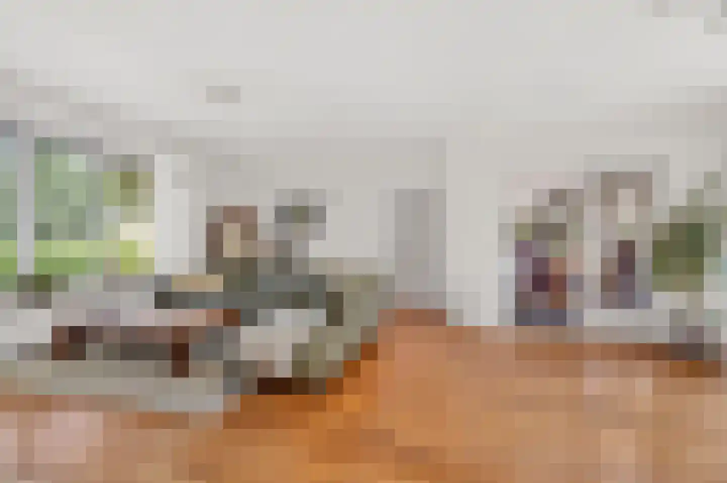 Langstraat 18 Schijndel thumbnail 8