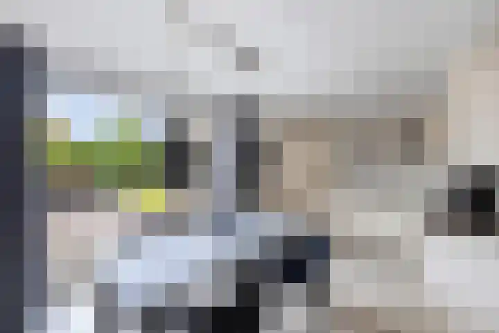 Langstraat 2 Emmeloord thumbnail 17