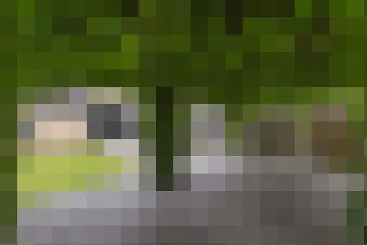 Langstraat 2 Emmeloord thumbnail 32
