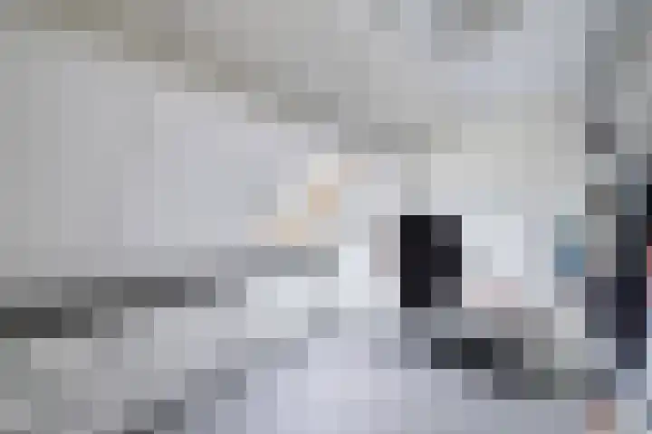 Langstraat 2 Emmeloord thumbnail 44
