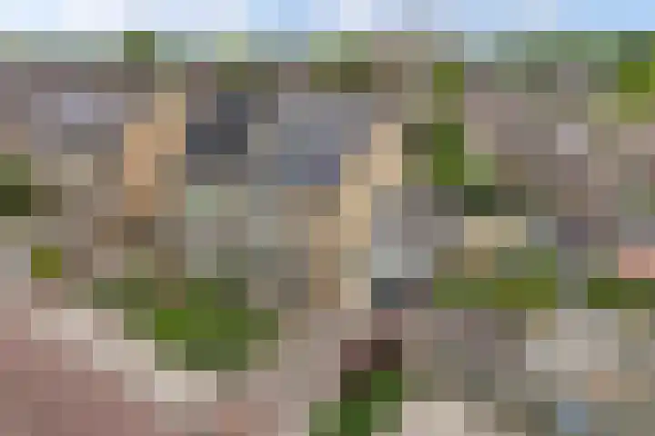 Langstraat 2 Emmeloord thumbnail 6