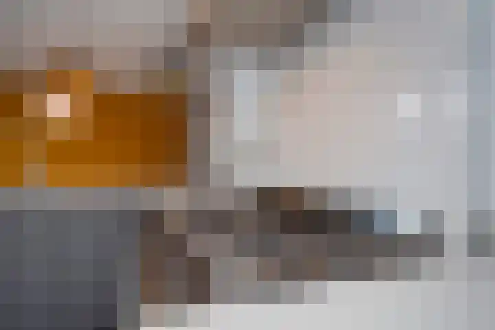 Langstraat 20 Halsteren thumbnail 19