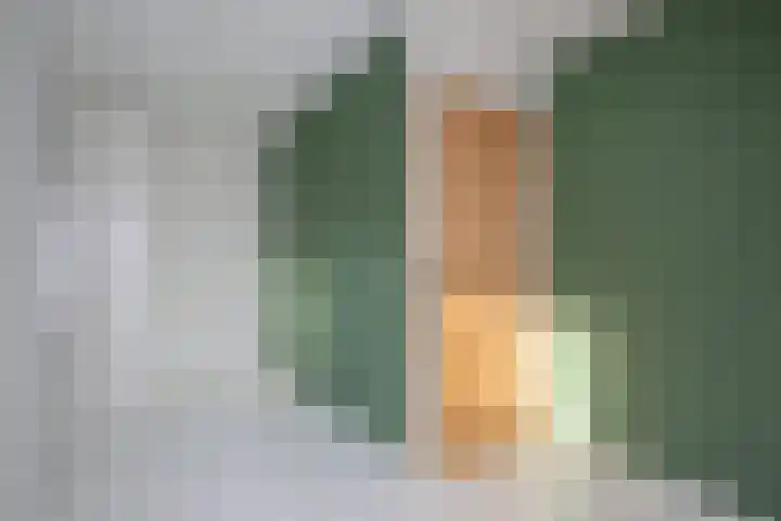 Langstraat 20 Halsteren thumbnail 31
