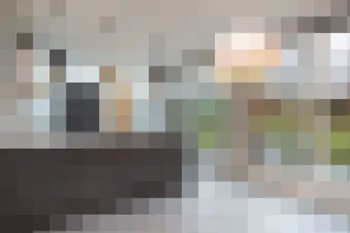 Langstraat 20 Halsteren thumbnail 4