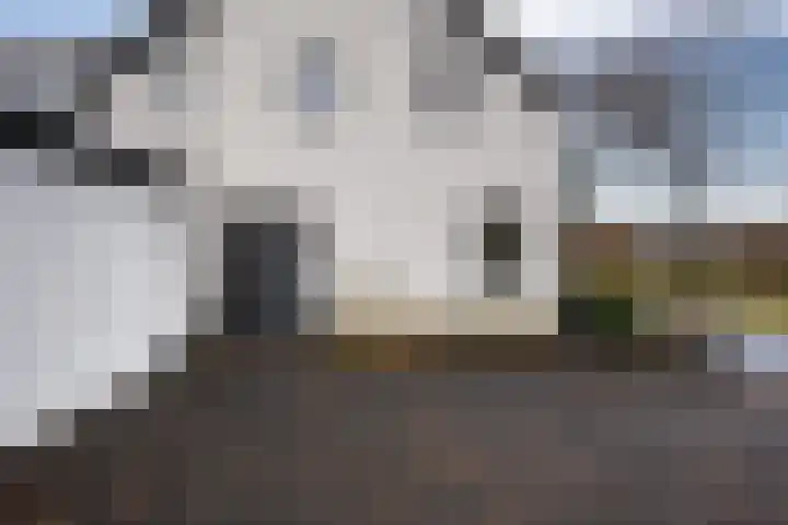 Langstraat 20 Halsteren thumbnail 6