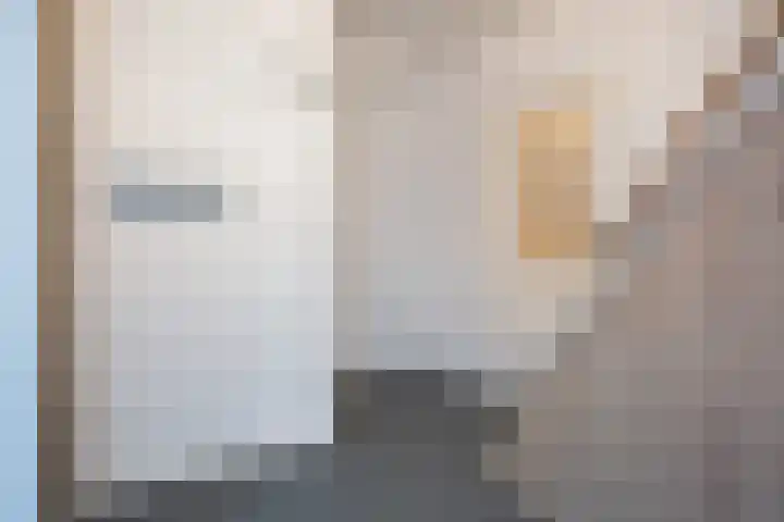 Langstraat 20 Halsteren thumbnail 7