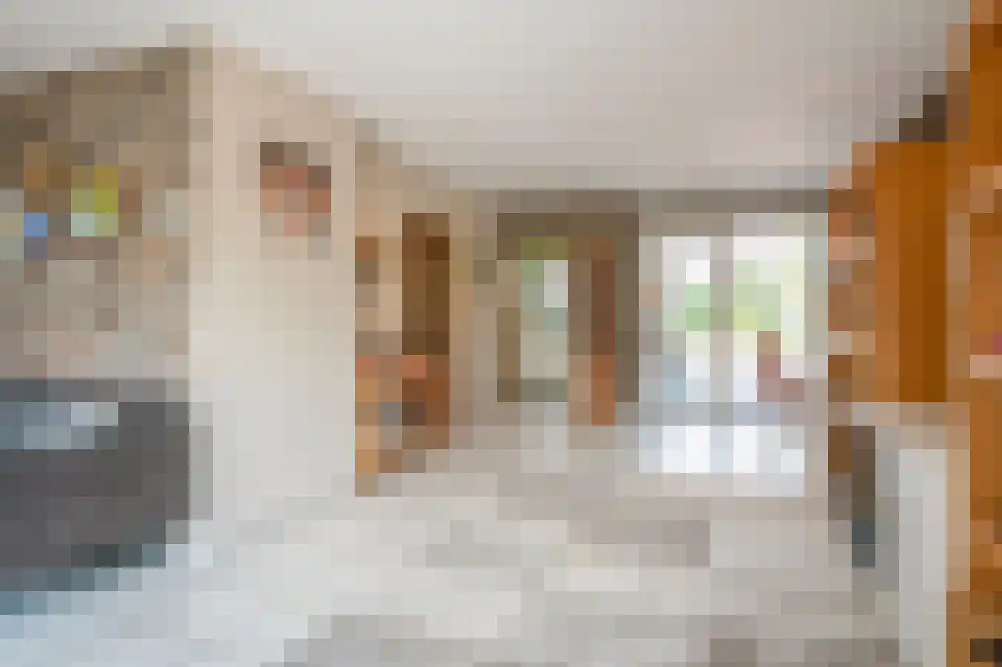 Langstraat 20 Schimmert thumbnail 11