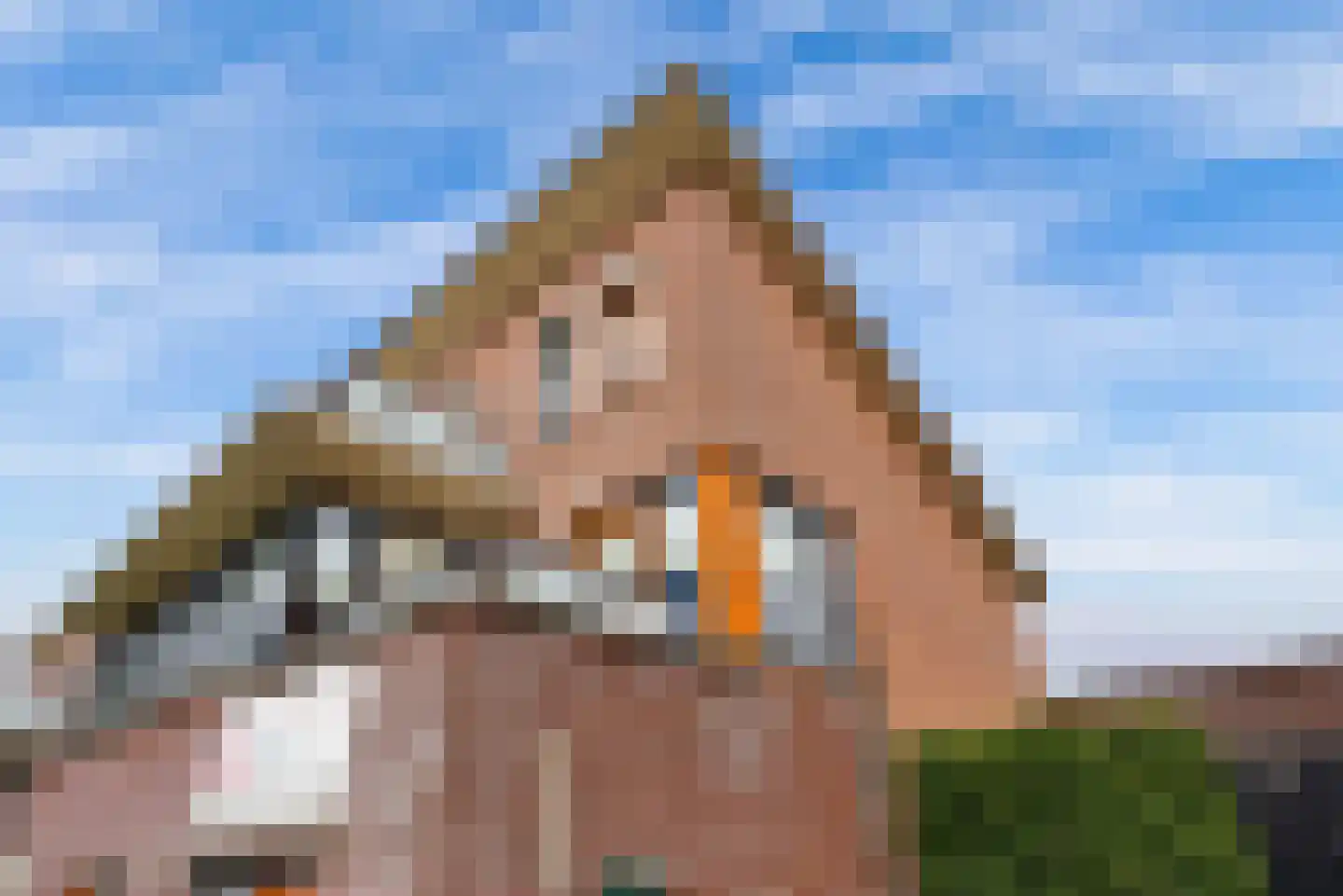 Langstraat 22 Lelystad thumbnail 55