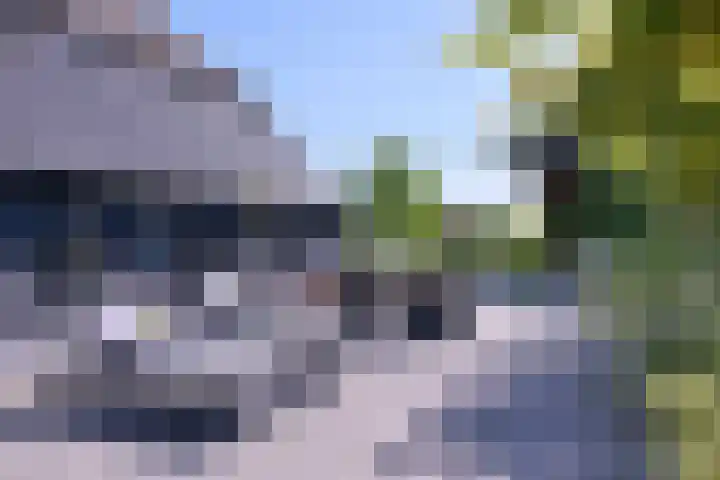 Langstraat 26 Holten thumbnail 54