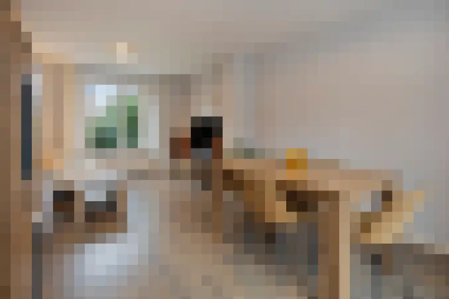 Langstraat 28 Gaanderen thumbnail 10