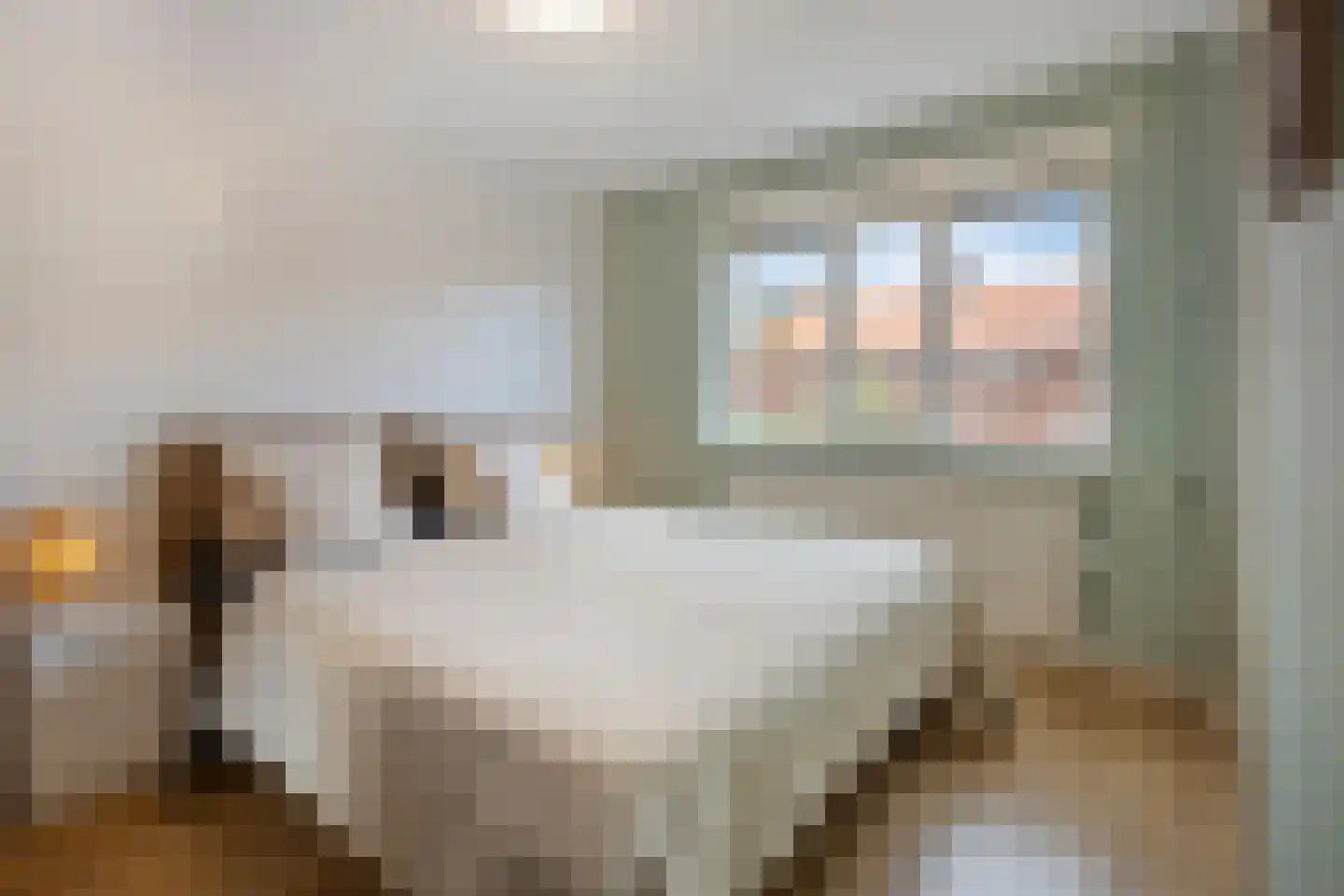 Langstraat 28 Gaanderen thumbnail 16