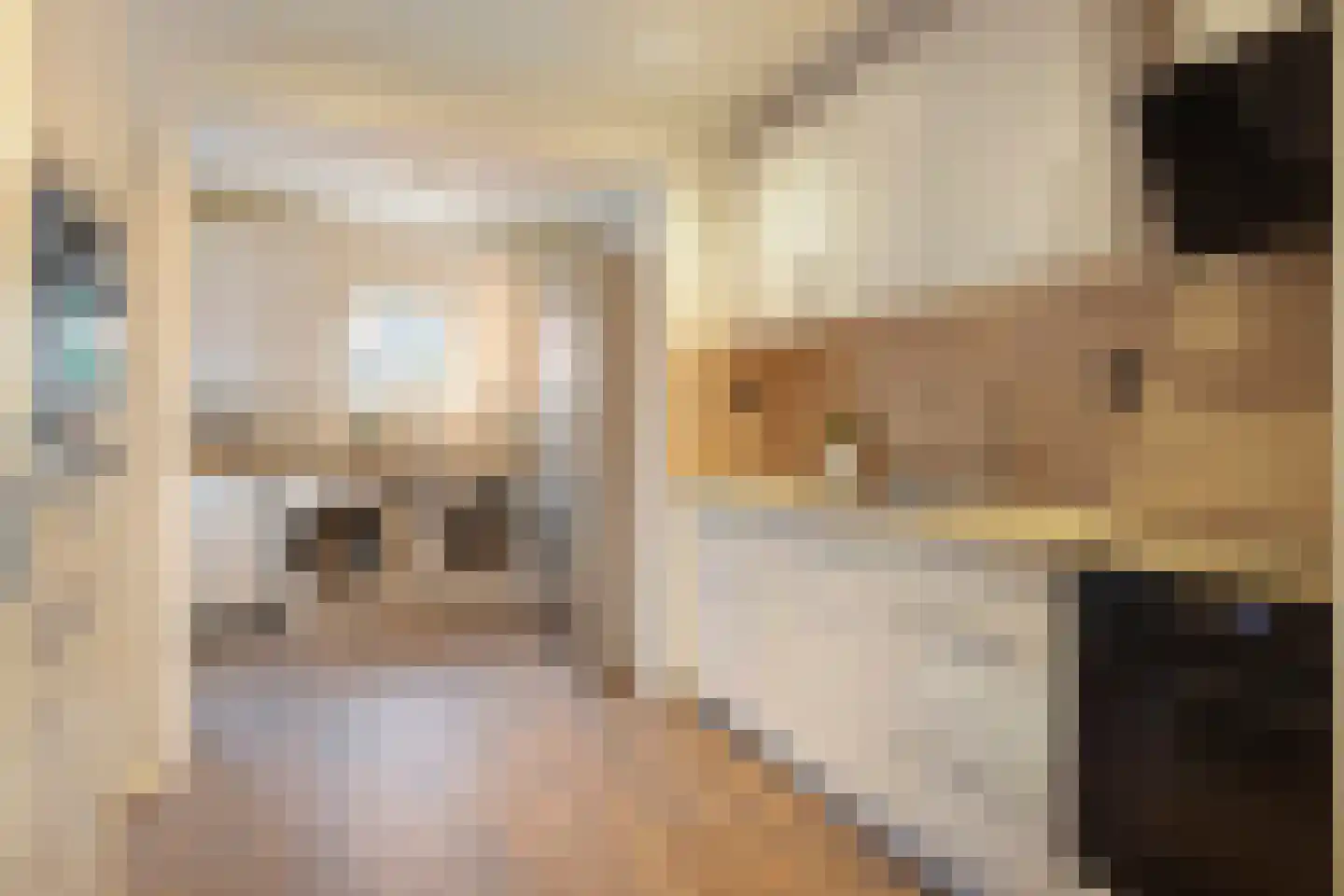 Langstraat 28 Gaanderen thumbnail 5