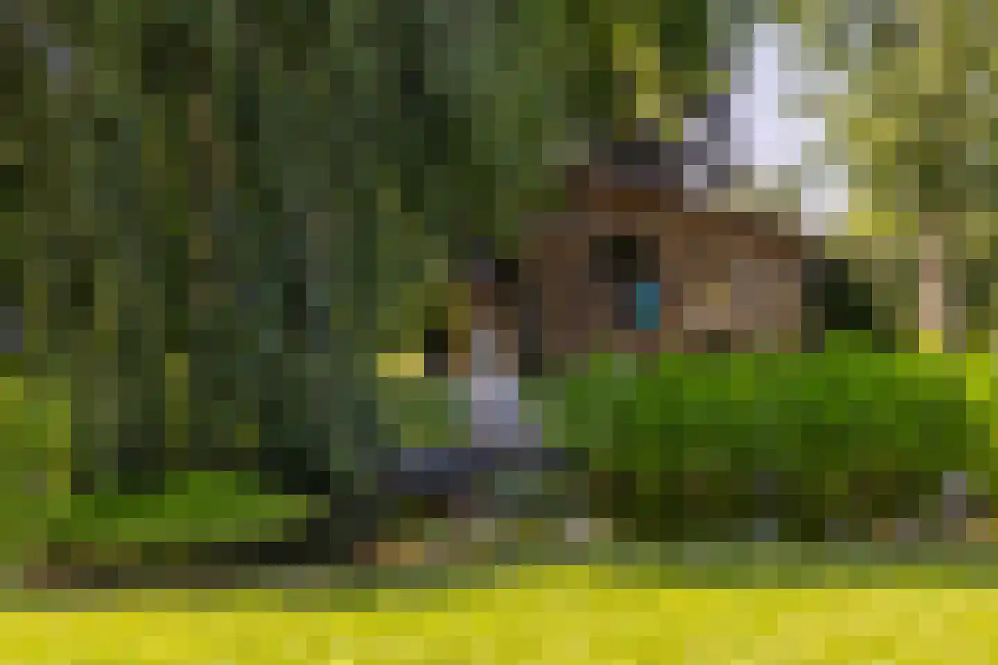 Langstraat 28 Gendt thumbnail 31