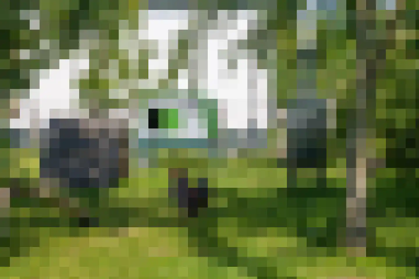 Langstraat 28 Gendt thumbnail 34