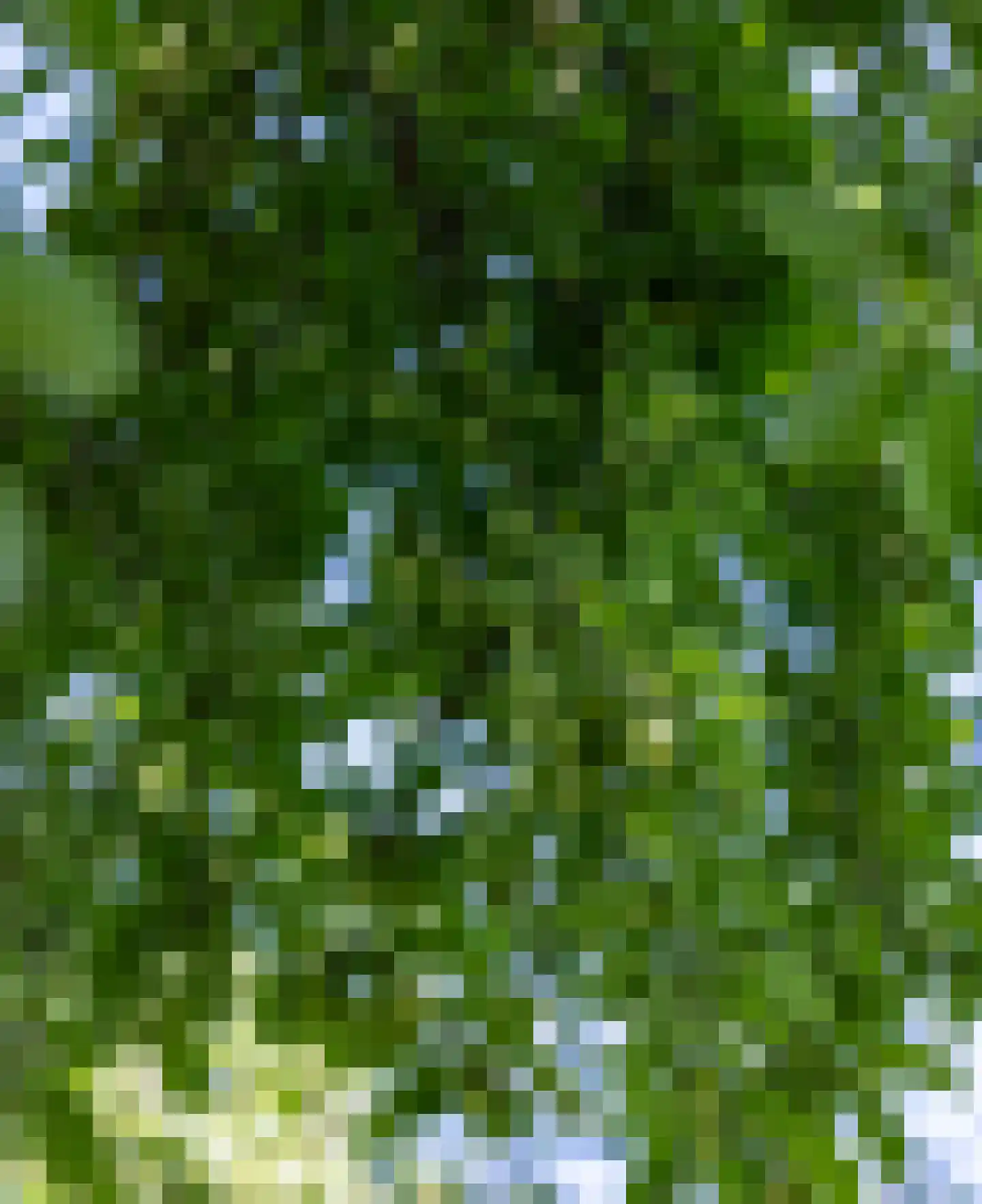 Langstraat 28 Gendt thumbnail 38