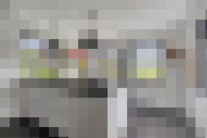 Langstraat 3 Halsteren thumbnail 17