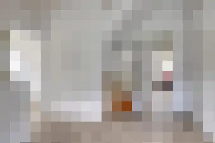 Langstraat 3 Halsteren thumbnail 23