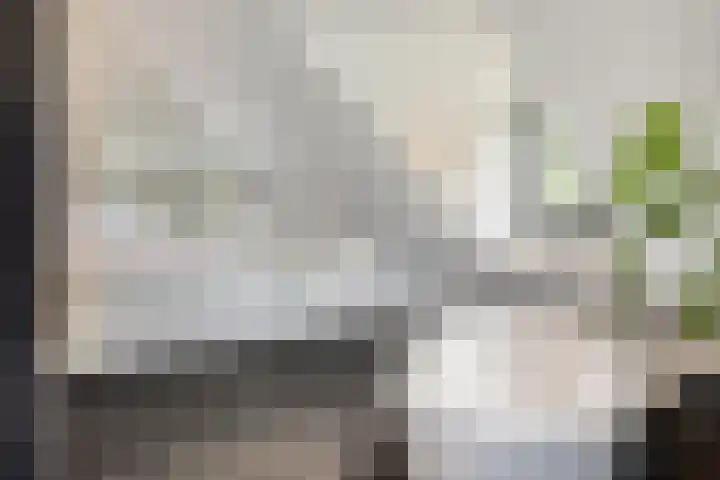 Langstraat 3 Halsteren thumbnail 28