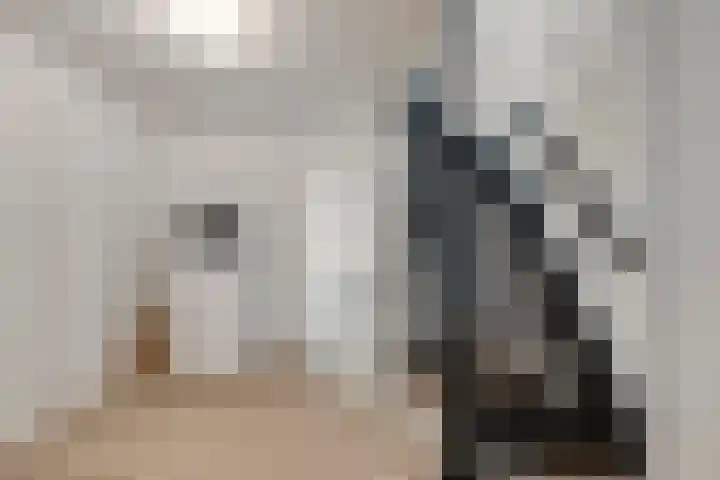 Langstraat 3 Halsteren thumbnail 30