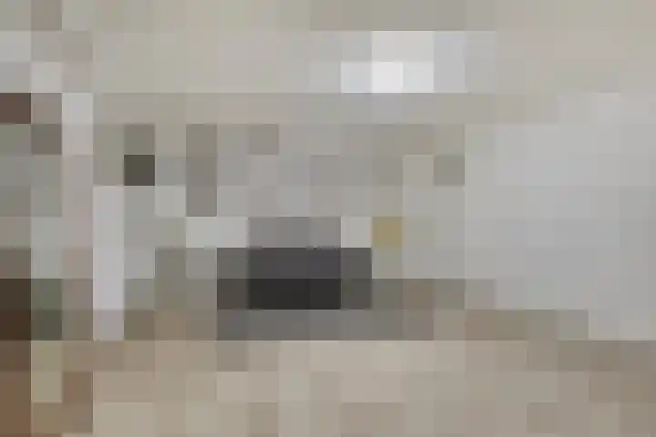 Langstraat 3 Halsteren thumbnail 32