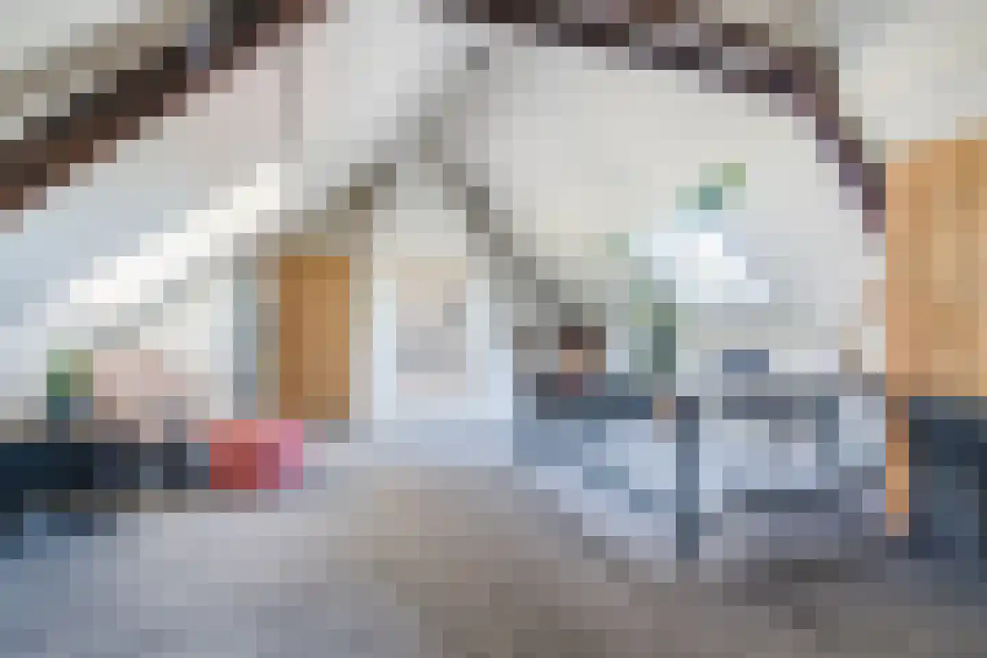 Langstraat 3 Venhorst thumbnail 22