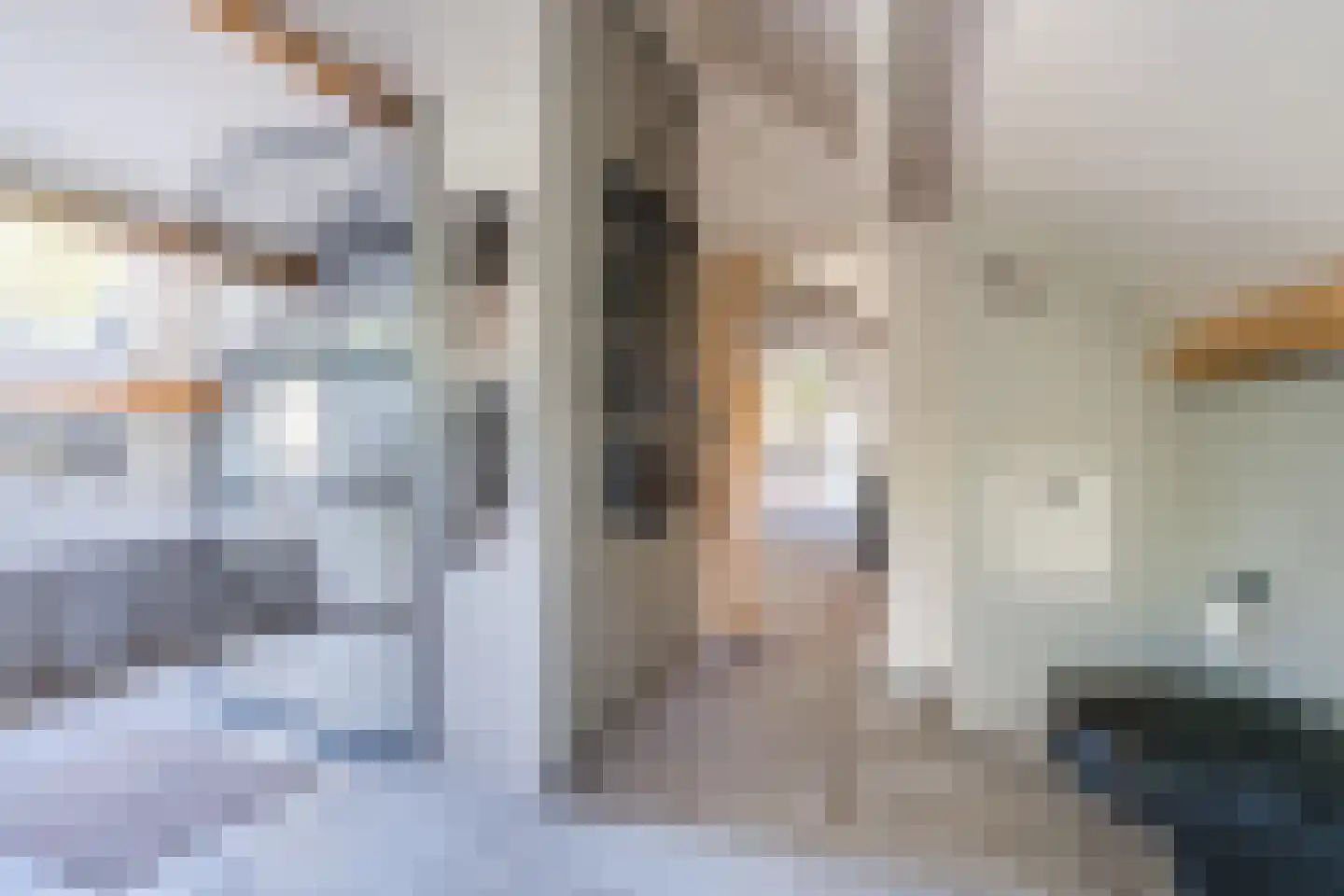 Langstraat 3 Venhorst thumbnail 28
