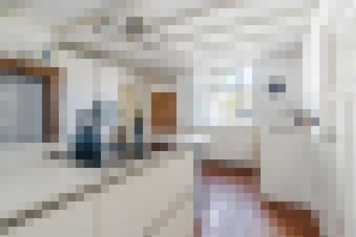 Langstraat 3 Venhorst thumbnail 38