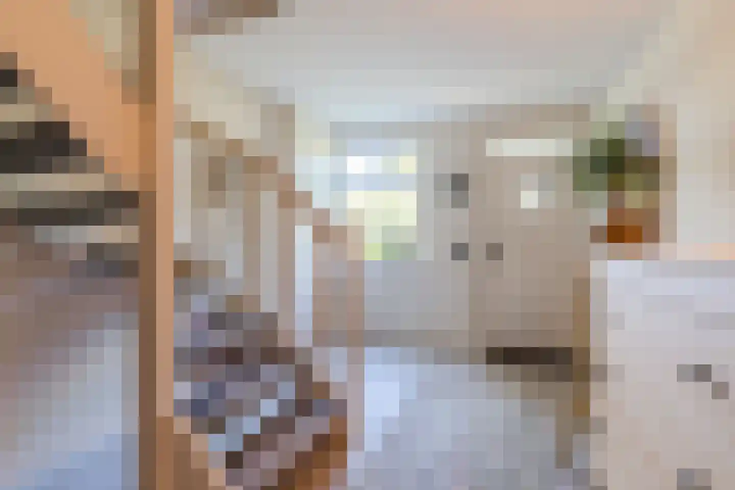 Langstraat 3 Venhorst thumbnail 4