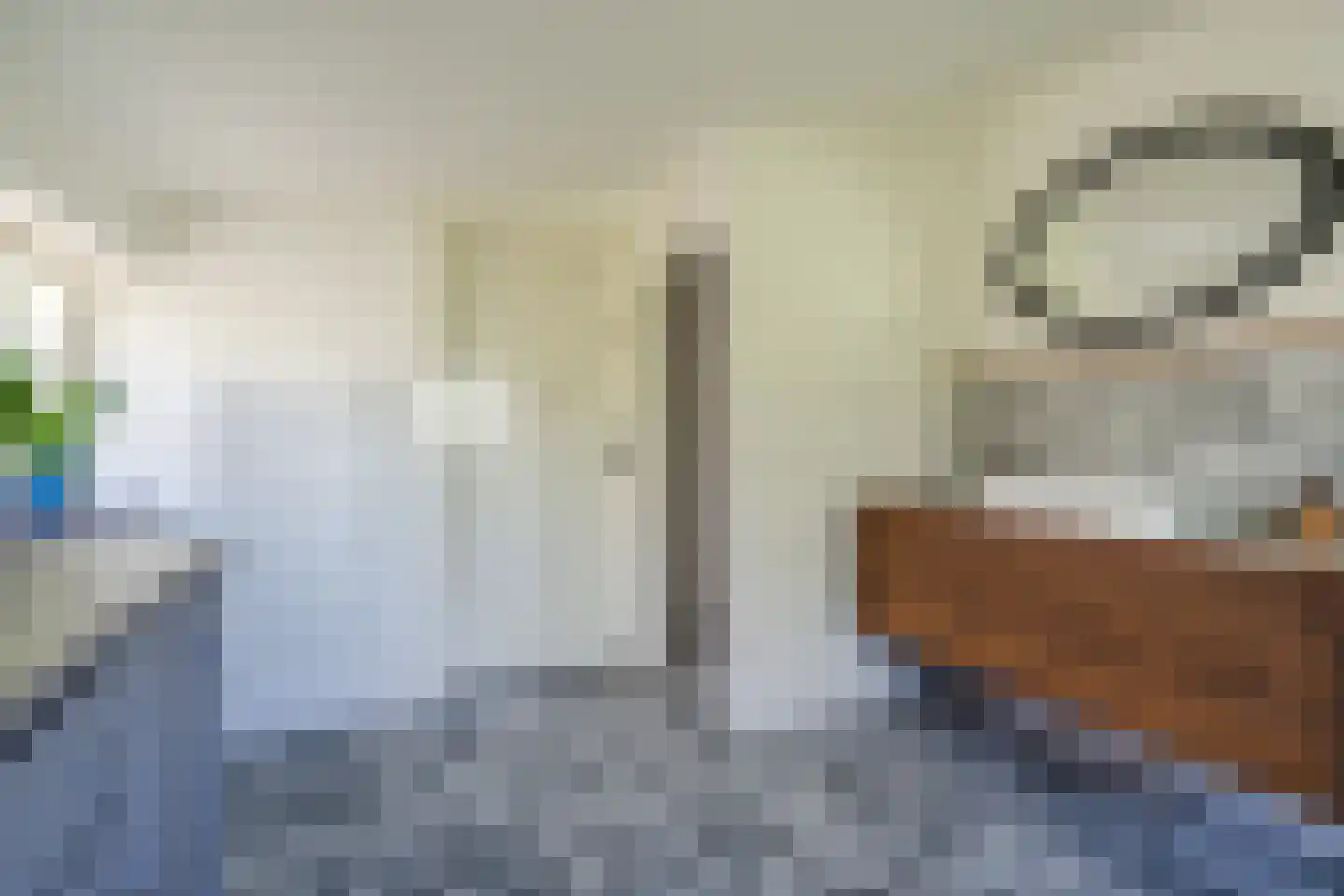 Langstraat 3 Venhorst thumbnail 43