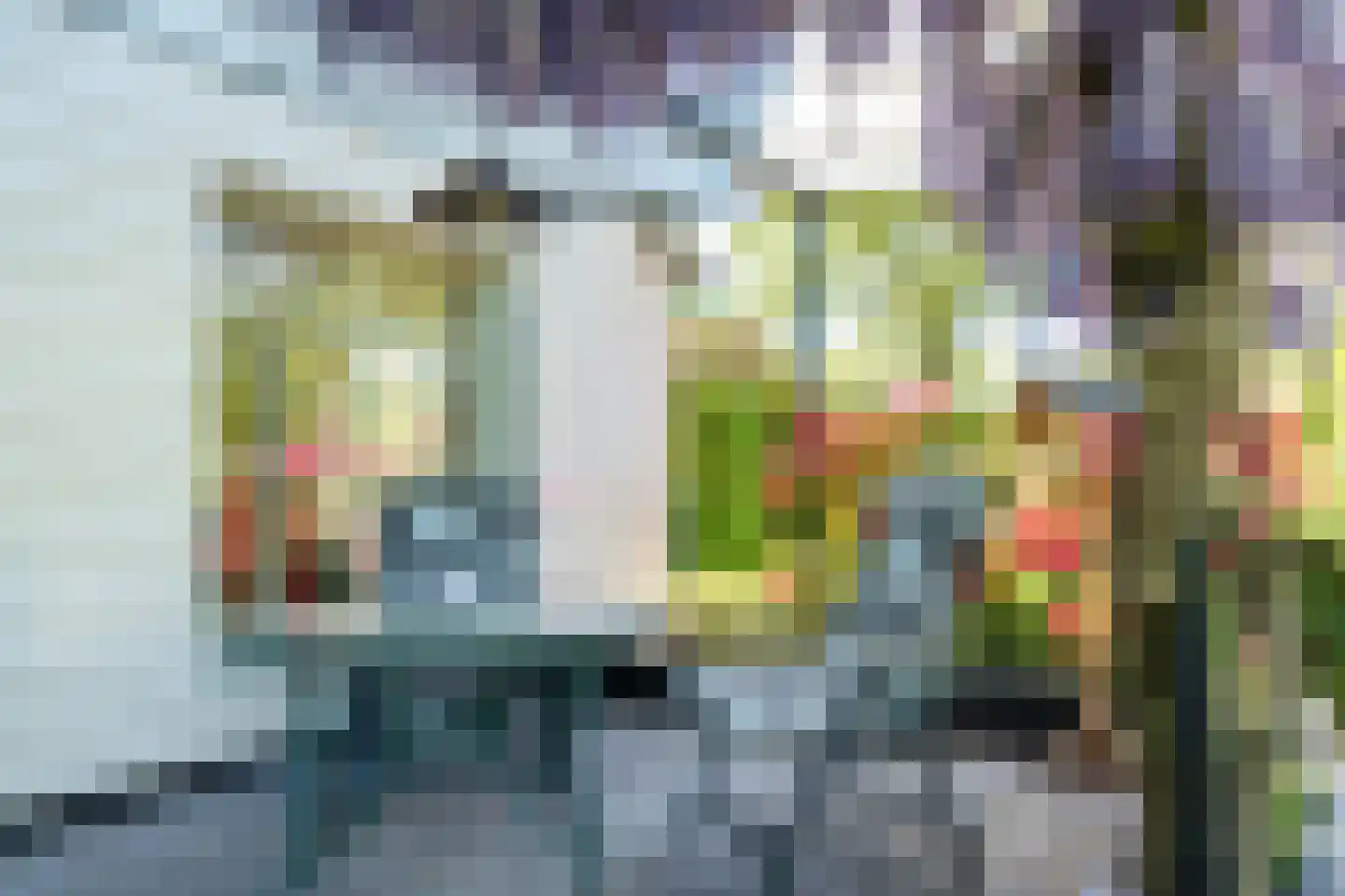 Langstraat 3 Venhorst thumbnail 48