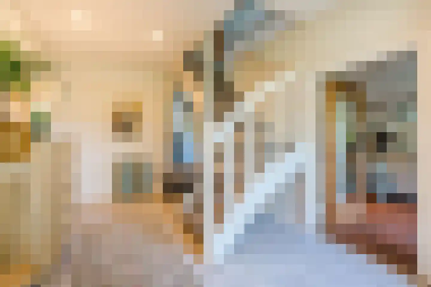 Langstraat 3 Venhorst thumbnail 5