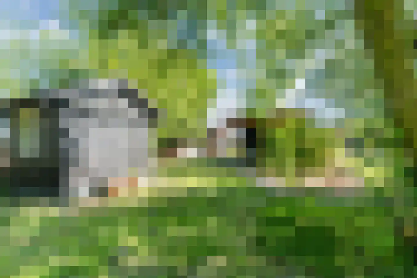 Langstraat 3 Venhorst thumbnail 52