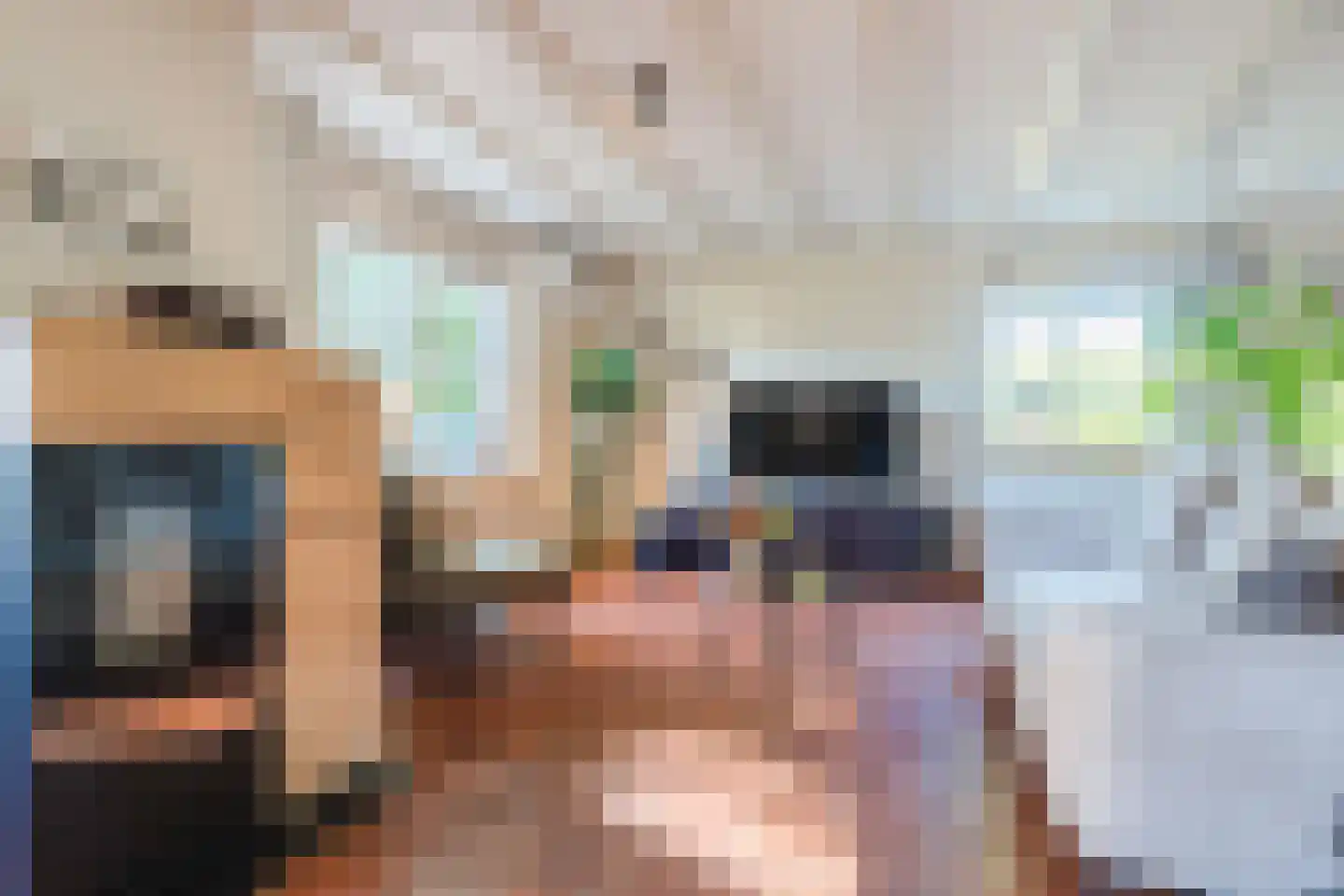 Langstraat 3 Venhorst thumbnail 6