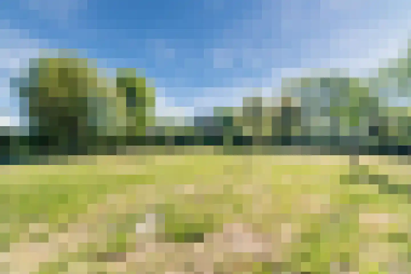 Langstraat 3 Venhorst thumbnail 60